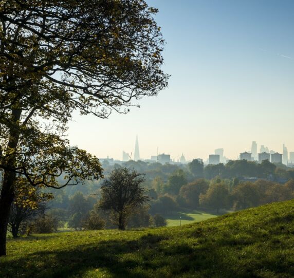 Greenwich2 2x Greenwich2 2x