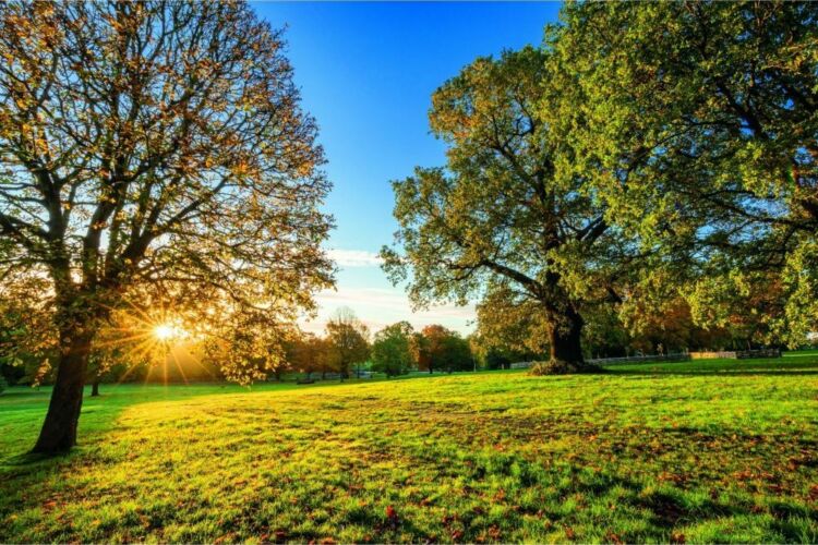 Beckenham Park
