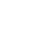 Snow flake